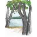 Healing Art-Life is Good image 22