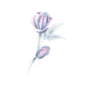 Healing Art-Life is Good image 28