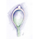 Healing Art-Life is Good image 47