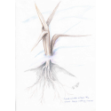 Healing Art-Healing Happens image 09