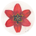 Healing Mandala image 08