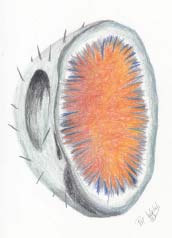 Change Hurts image 204